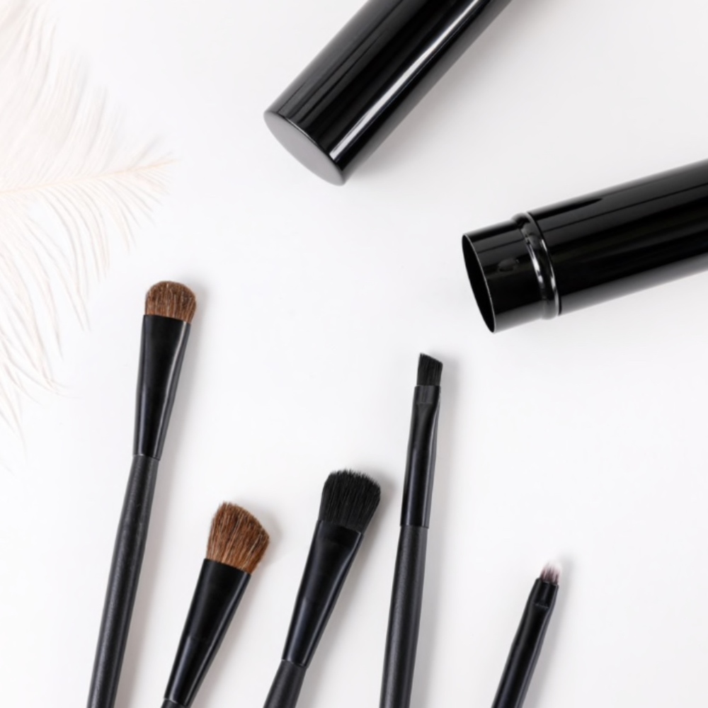 Travel Makeup Brush Set
